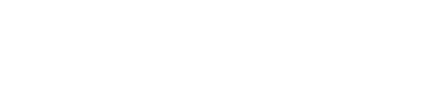 Monitor Capital Markets